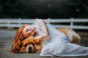 Dogs,-Cats-and-the-Corona-Virus-redmills-blog